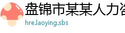盘锦市某某人力咨询运营部